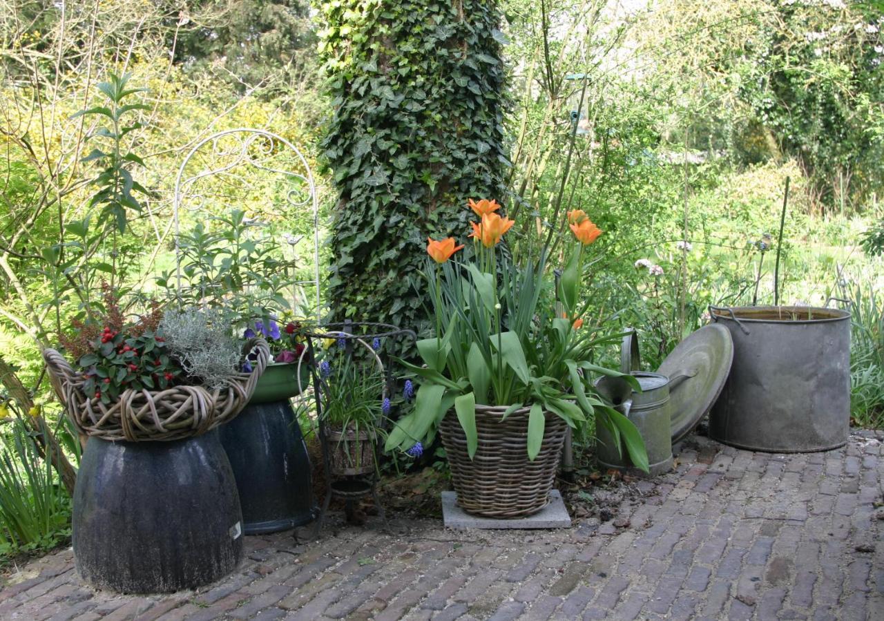 Bed and Breakfast Huys En Hoff Aen Den Haspel Oirschot Exteriér fotografie